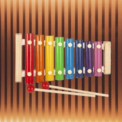 Jouet Montessori Bois - WoodenToys™ - Xylophone - Bébé s’éveille